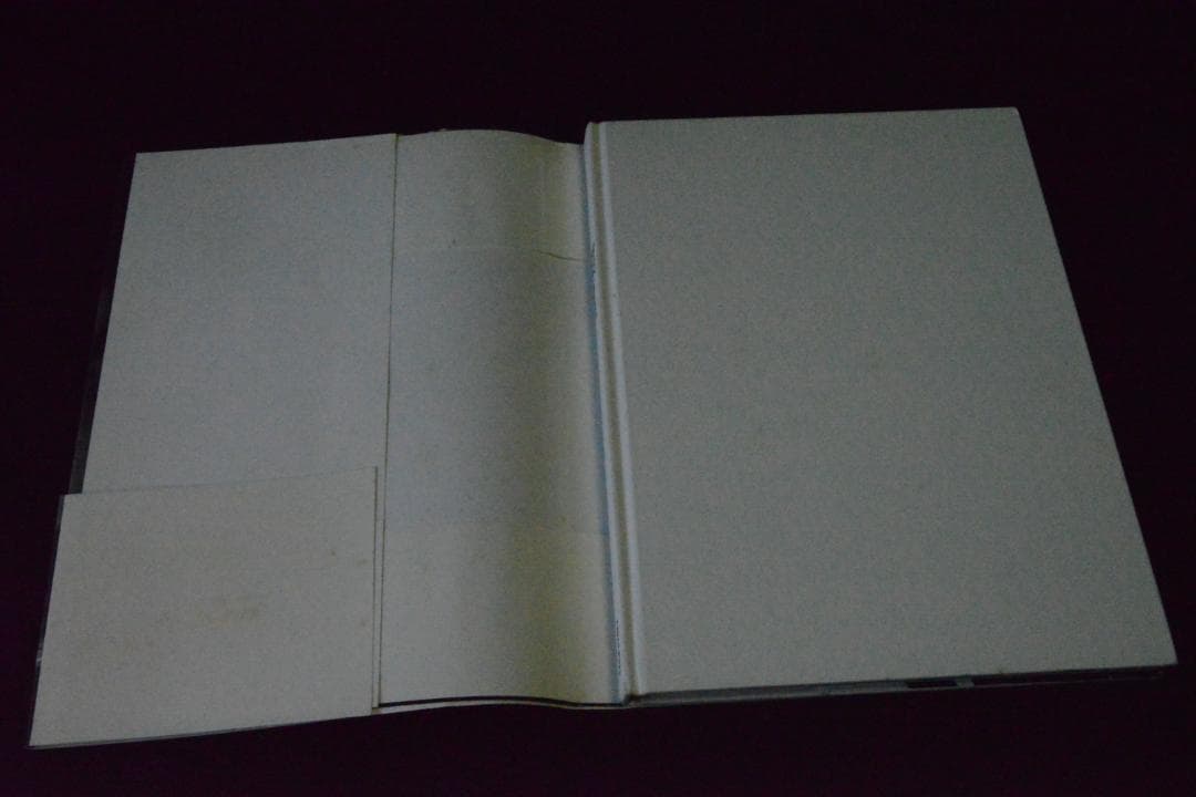 【Diary ： Peter Beard】 新品未読品・★★大幅に値下げしました