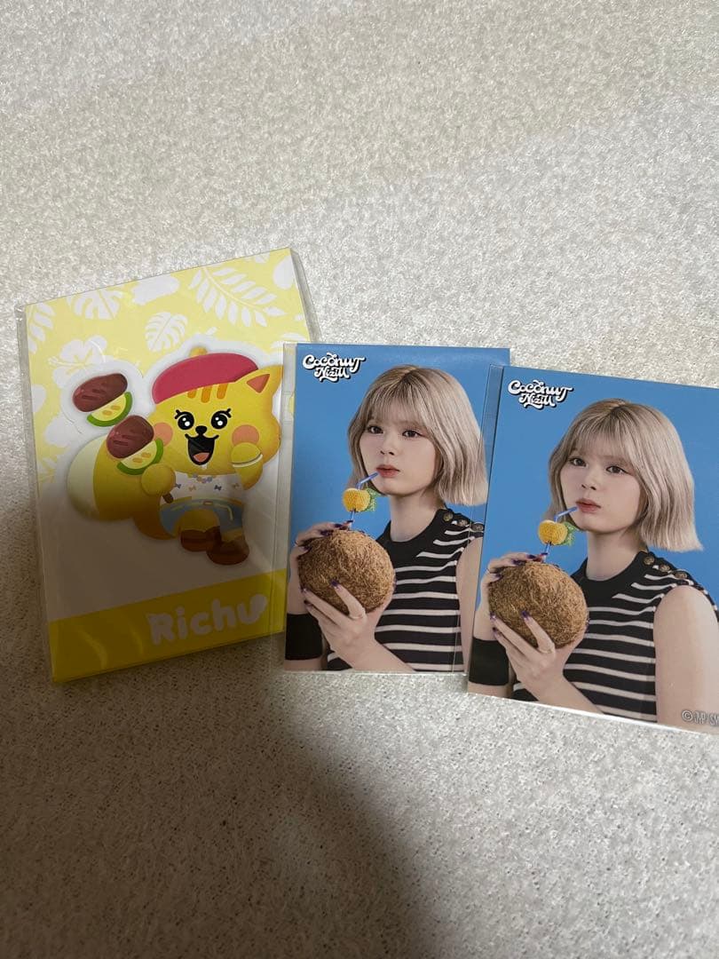 NiziU リクRIKU うちわケース　ぬいぐるみバッジその他セット