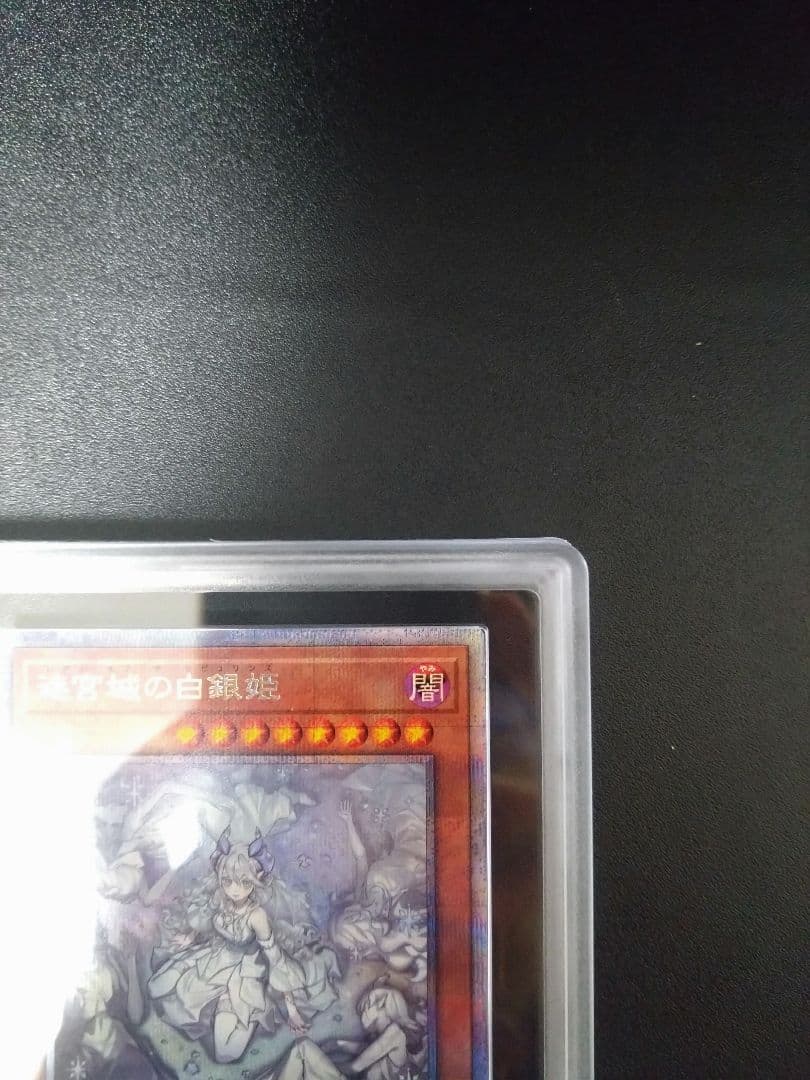 【ARS10＋】迷宮城の白銀姫　25thシク　クオシク