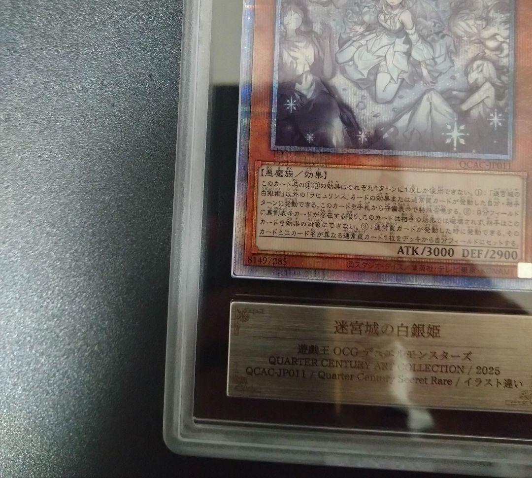 【ARS10＋】迷宮城の白銀姫　25thシク　クオシク