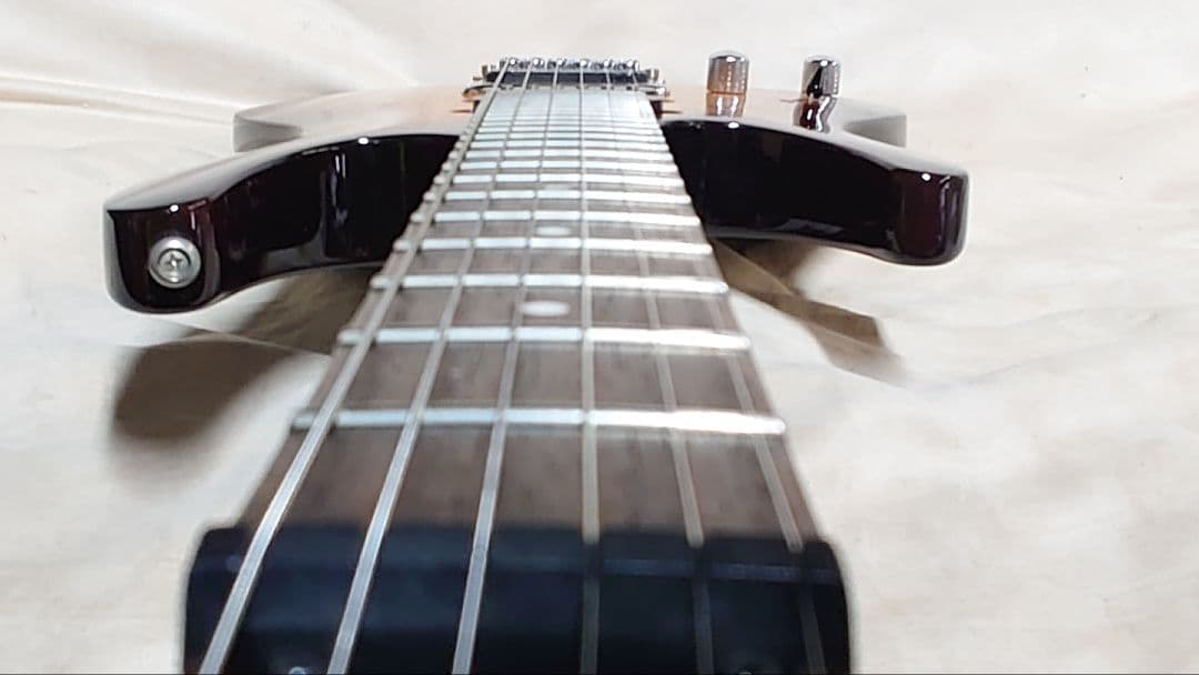 アイバニーズ SAシリーズ レフティ 社外ソフトケース付き