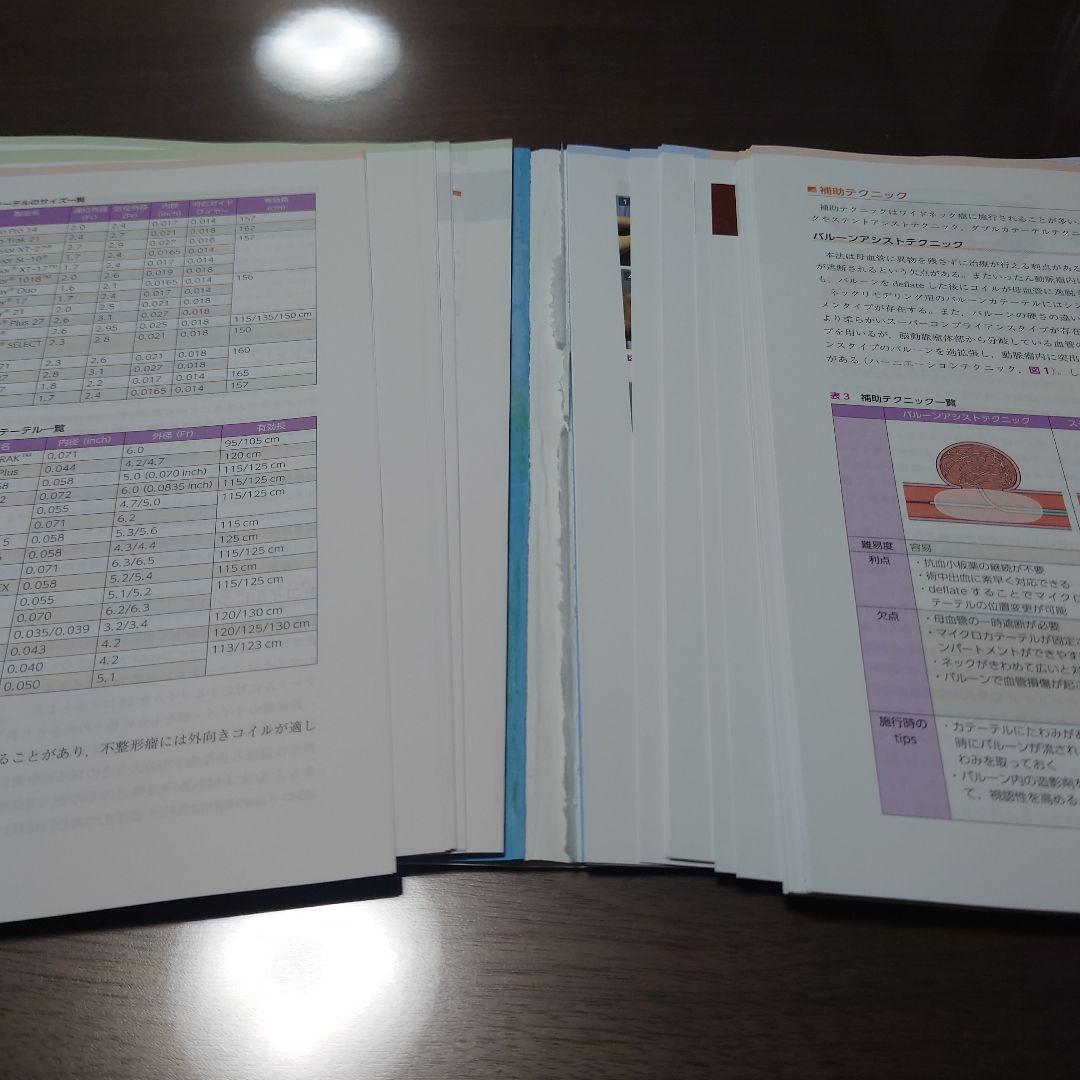 脳血管内治療 スタート&スタンダード 第2版