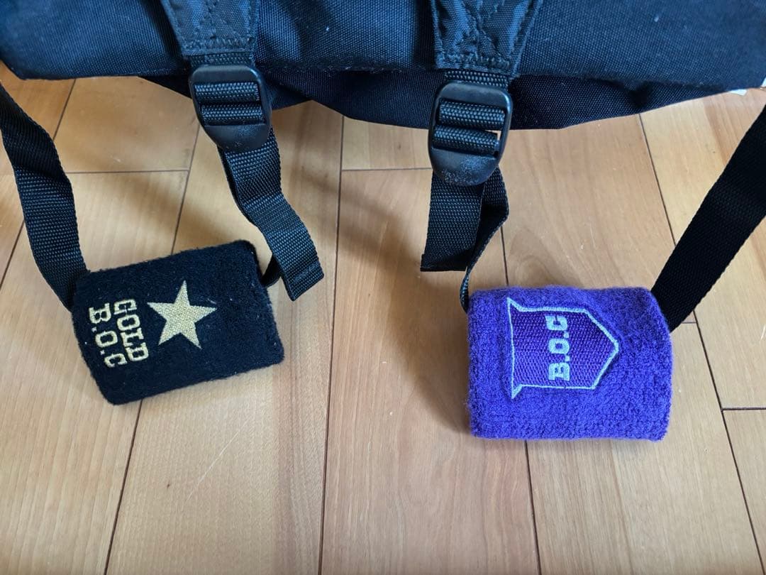 BUMP OF CHICKEN EASTPAKリュック