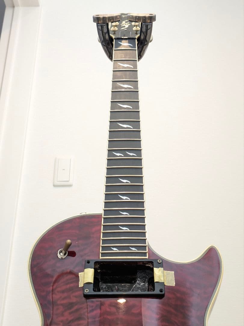 ギター Epiphone Les Paul Custom Prophecy GX