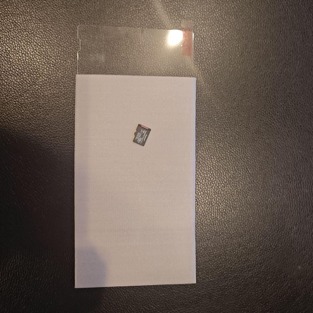 あつまれどうぶつの森 エディションSDカード液晶フィルムなどおまけ付き