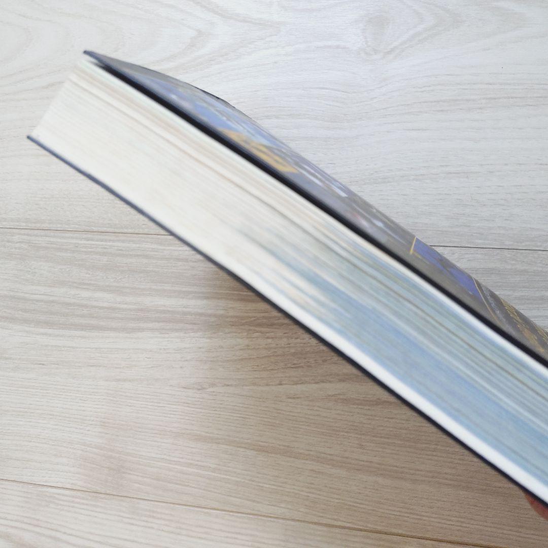 パタゴニア ティエラ・デル・フエゴ 南極半島の鳥　鳥類の写真ガイドブック