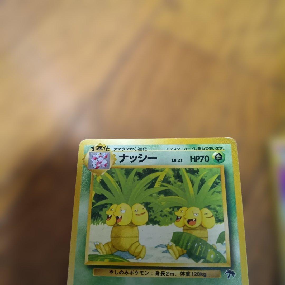 ポケモンカード　旧裏　サザンアイランド セット