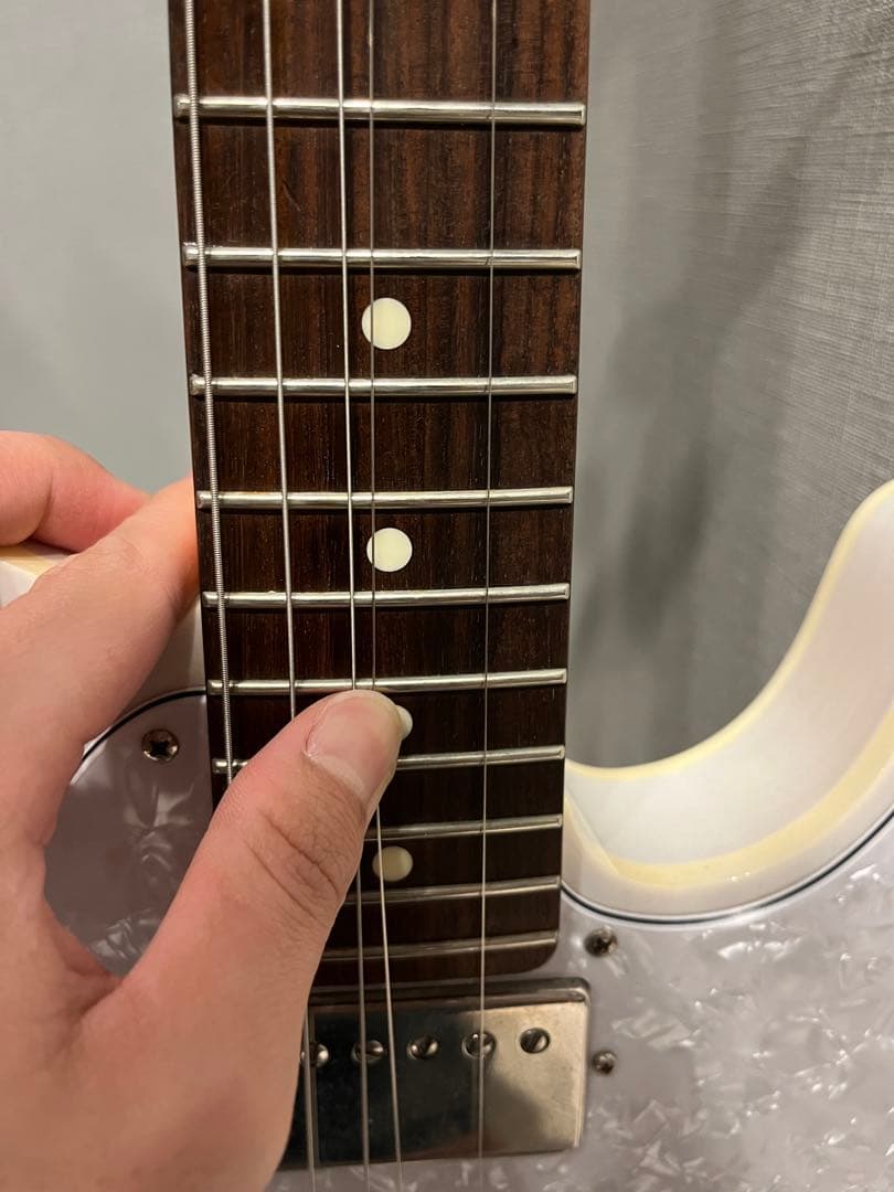 FUJIGEN NTL21RAH-WB/01 テレキャスター