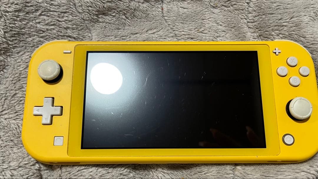 スイッチライト ジャンク ⚠️