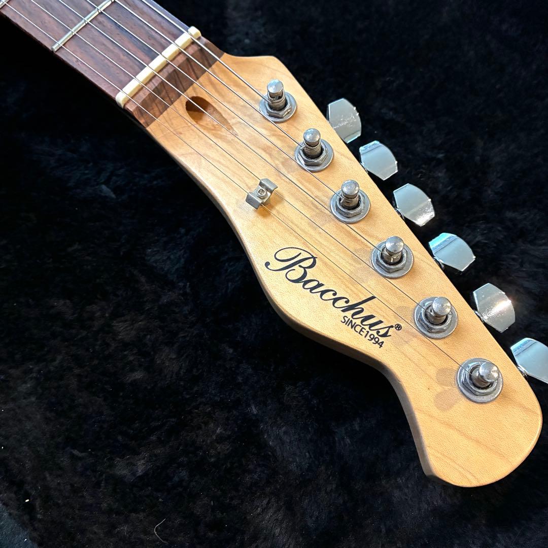 調整済み【状態良好/人気カラー】バッカス　テレキャス　レイクプラシッド