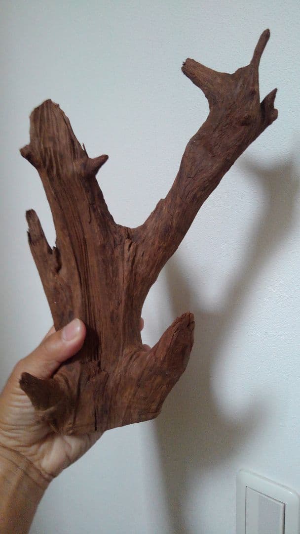 流木　10個セット　アクアリウムオブジェ