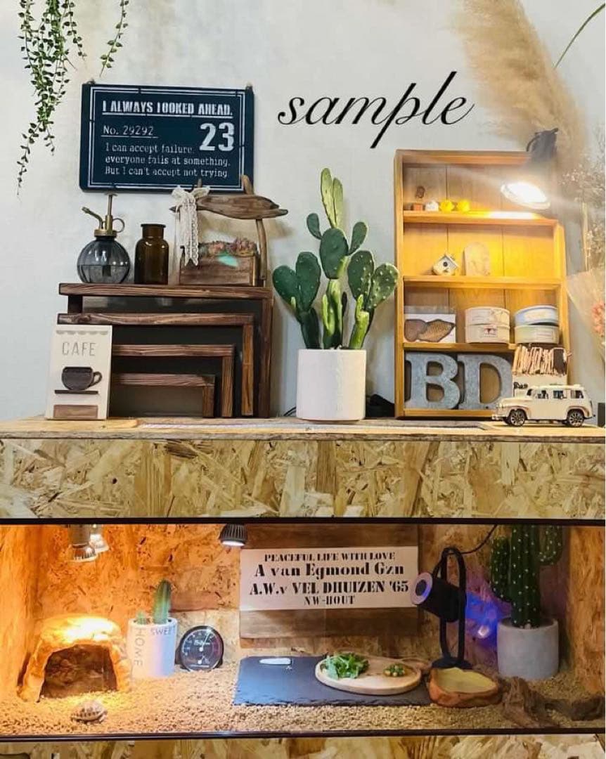 爬虫類ケージ　木製ケージ　9040 フトアゴ　ハリネズミ フルオプション