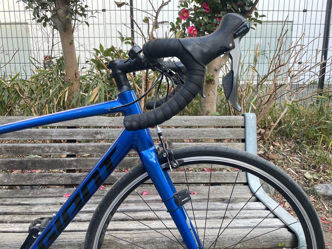 2020年　ジャイアント　コンテンド2 美品　ブルー　Mサイズ　500mm