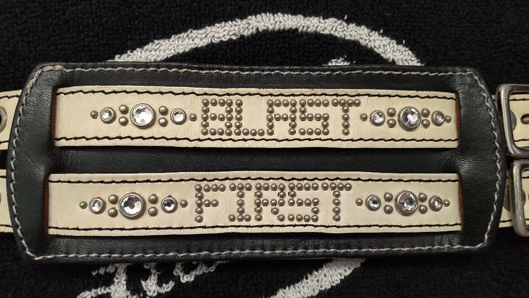 MODERN PIRATES モダンパイレーツ × GLAY TERU コラボ