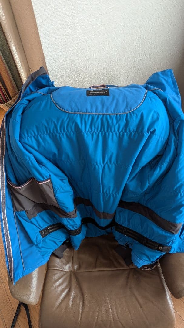 ピークパフォーマンス ブルー系 スキーウェア上下 size : L