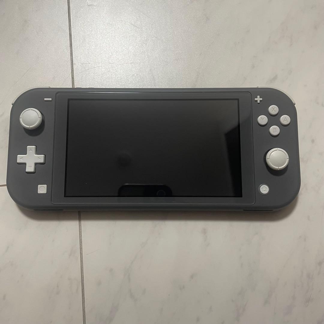 Nintendo Switch Lite グレー、他周辺ケース2点、充電器は無し