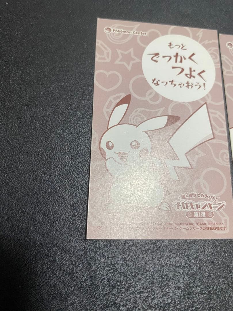 ポンチョを着たピカチュウ 名刺カード メガリザードンXY ポケモンセンター
