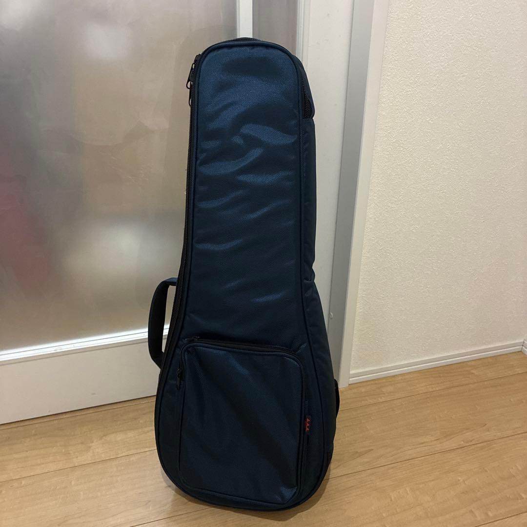 プレイテック　Playtech F型マンドリン　PFM10F ギグバック付き！