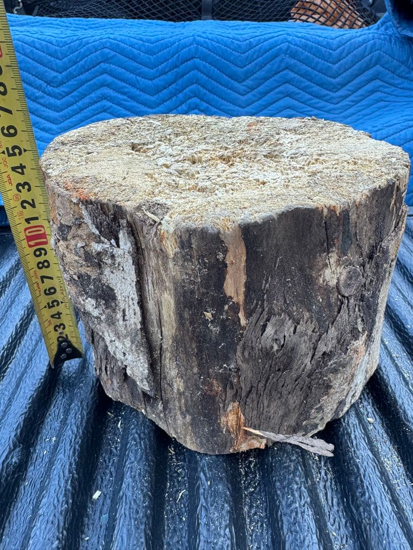 ベトナム材　VN材　15cm×20cm 産卵木