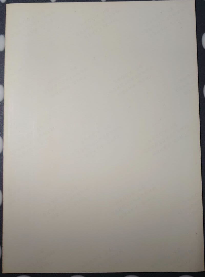 中山美穂 写真2L(激レア)