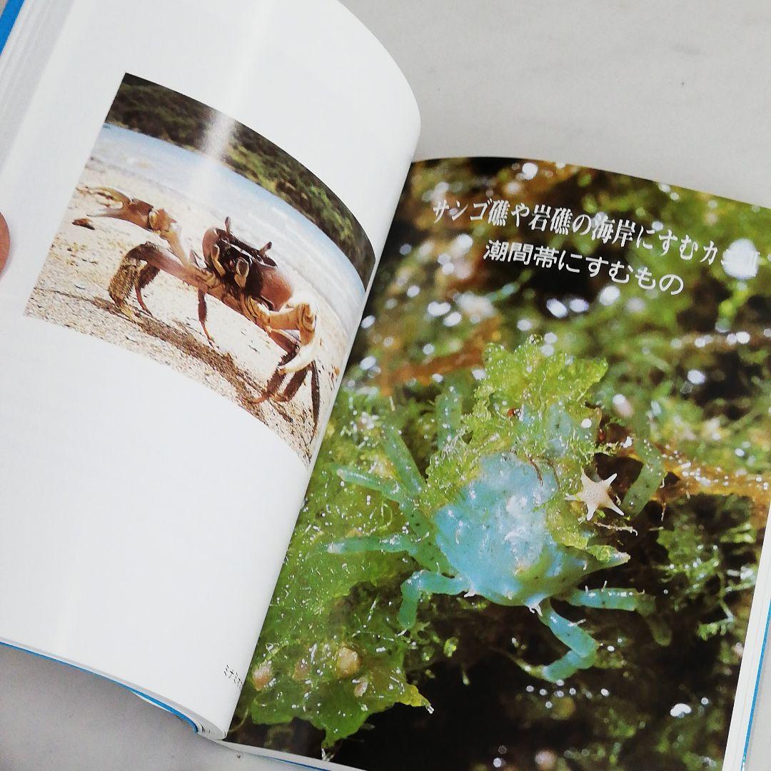 沖縄海中生物図鑑　全巻（11冊）セット。