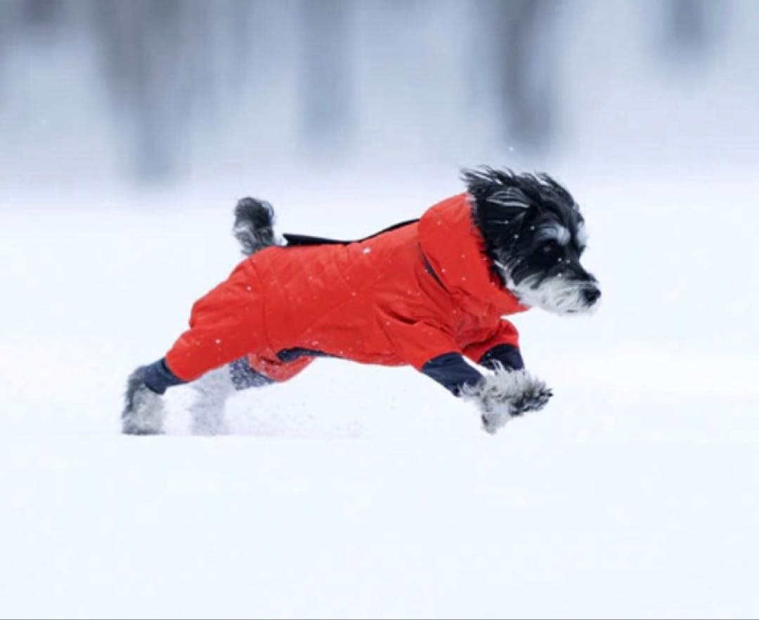 【新品未使用】ALPHACON アルファアイコン　ドッグガードエア　M