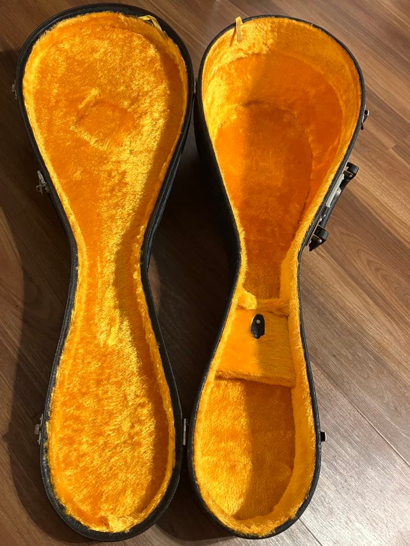 マンドリン　M-210 ハードケース付き　弦楽器　SUZUKI VIOLIN