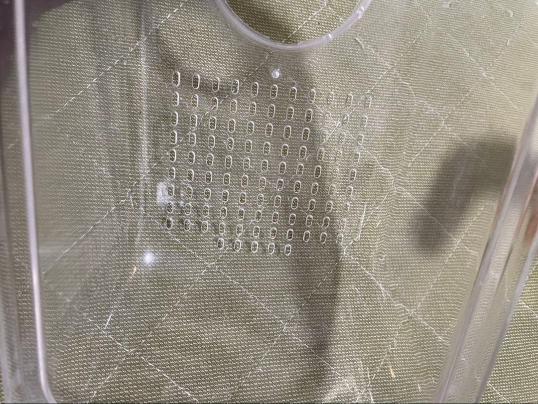 Roomy ルーミィケース ハムスター飼育セット