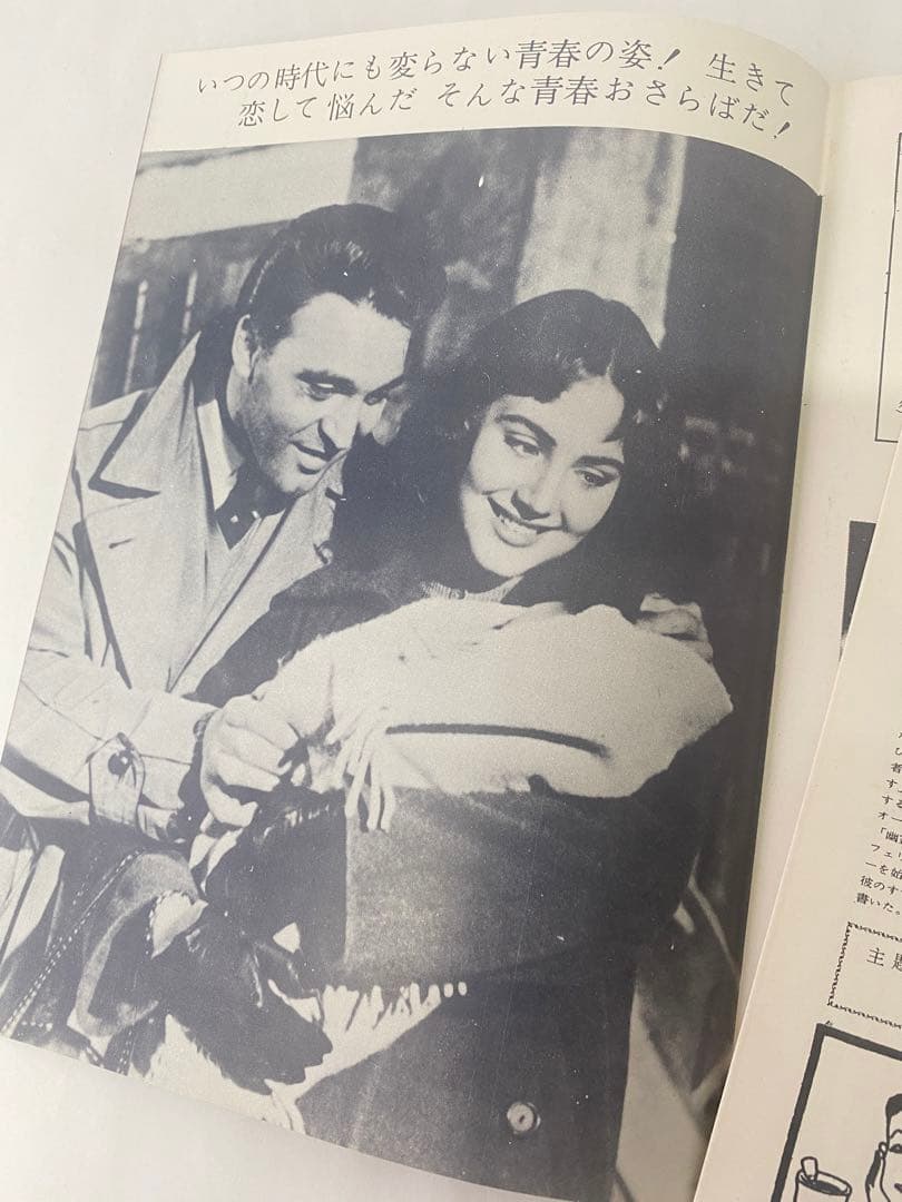 ★青春群像★さすらい★映画パンフレット★日活名画座★64年保存★フェデリコ当時物