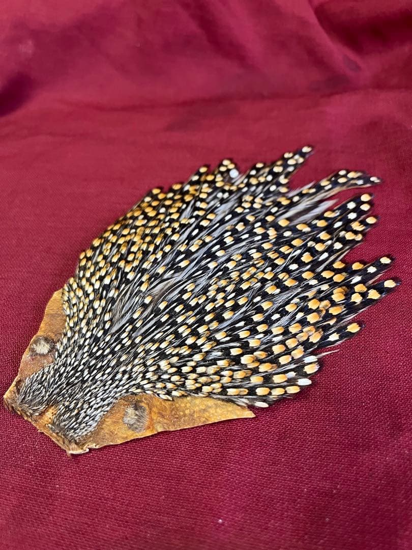 入手困難なジャングルコックです。 これは、すばらしくウエットからサーモンまで