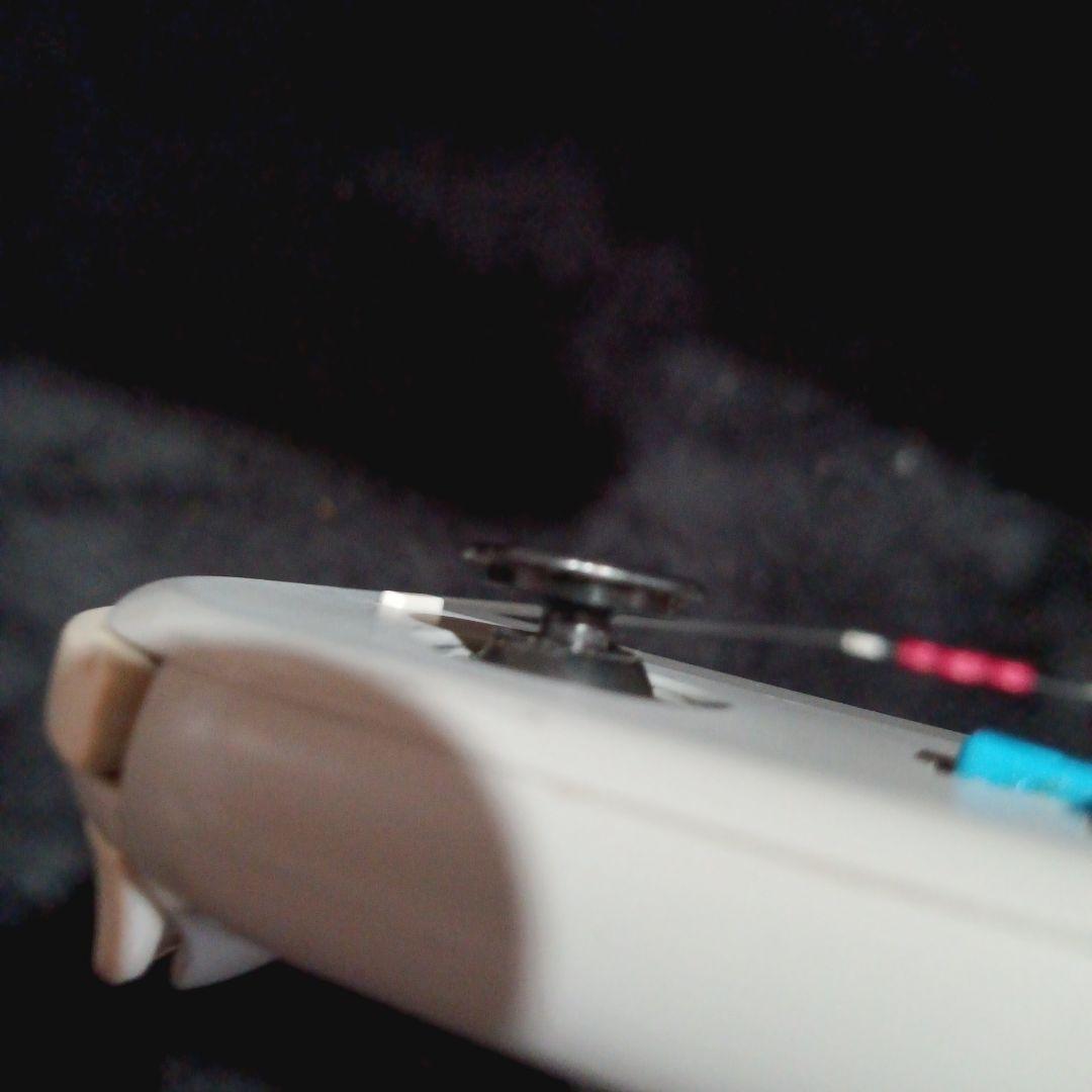 ぼ*の様 Nintendo Switch Lite ポケモン ソードシールドモデ