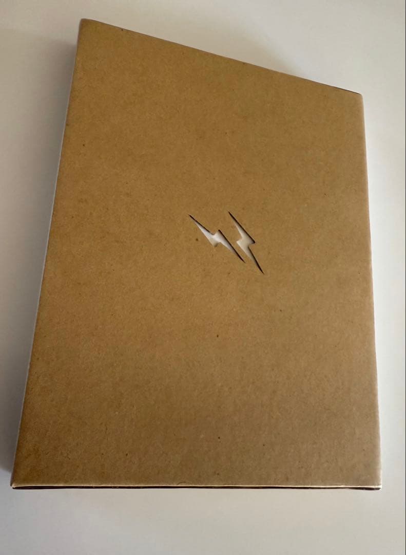 新品 the shadow of the official art works