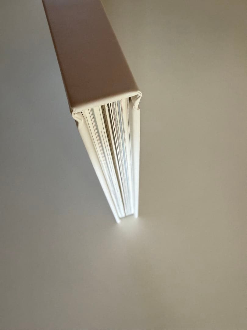 新品 the shadow of the official art works