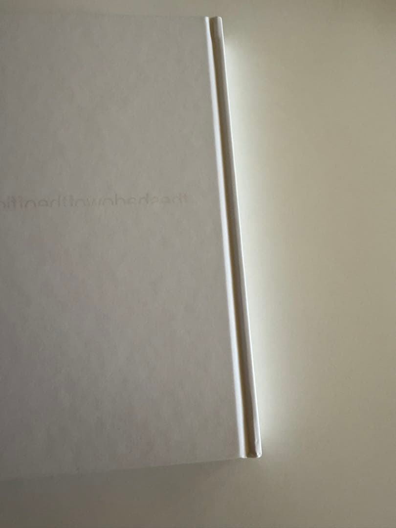 新品 the shadow of the official art works