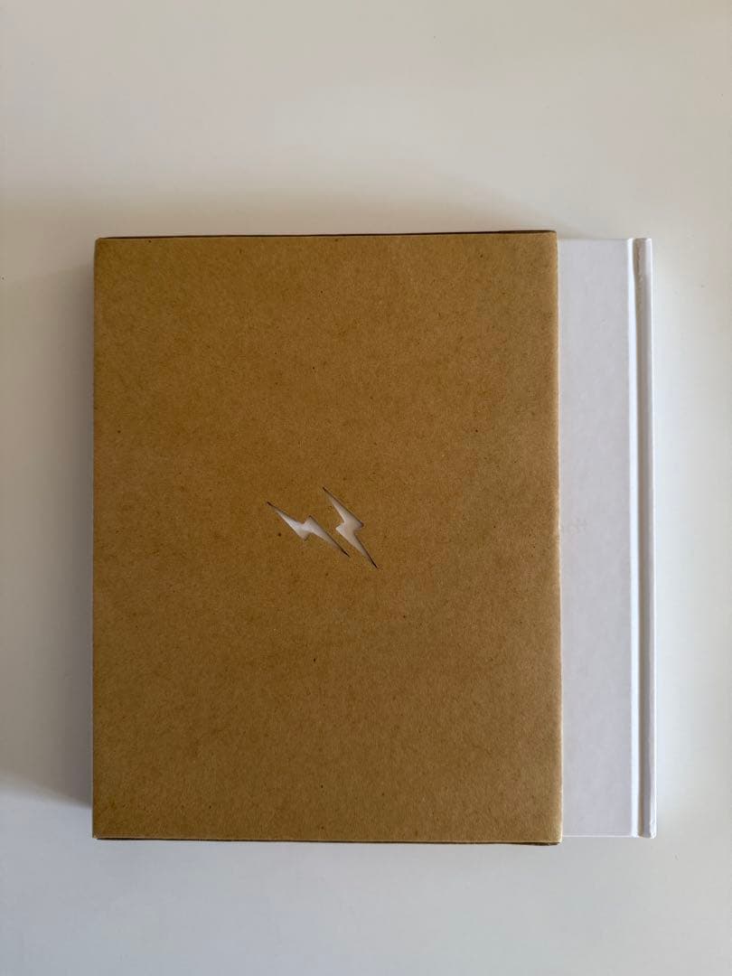 新品 the shadow of the official art works