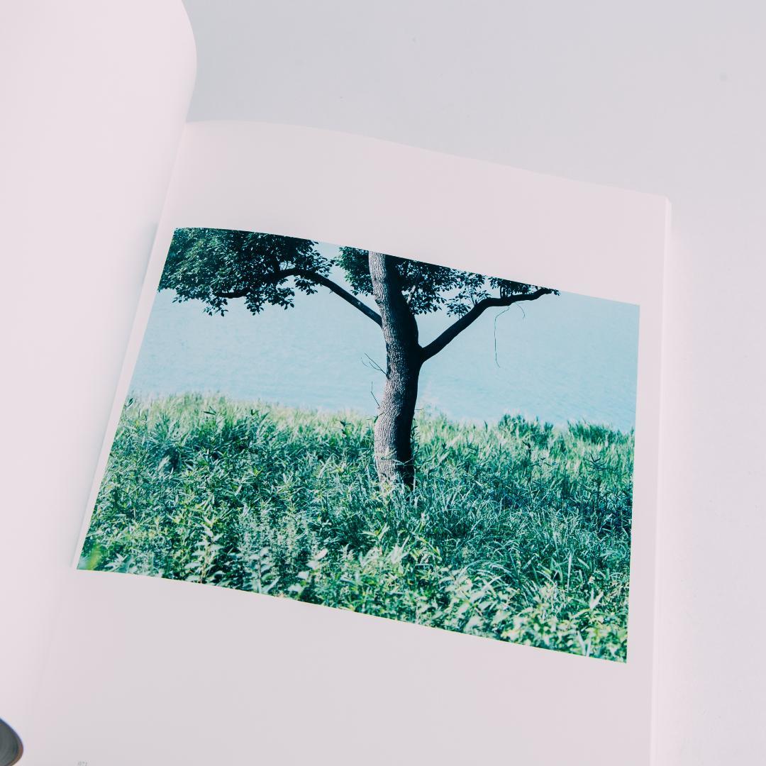 鈴木理策「Stream of consciousness」写真集