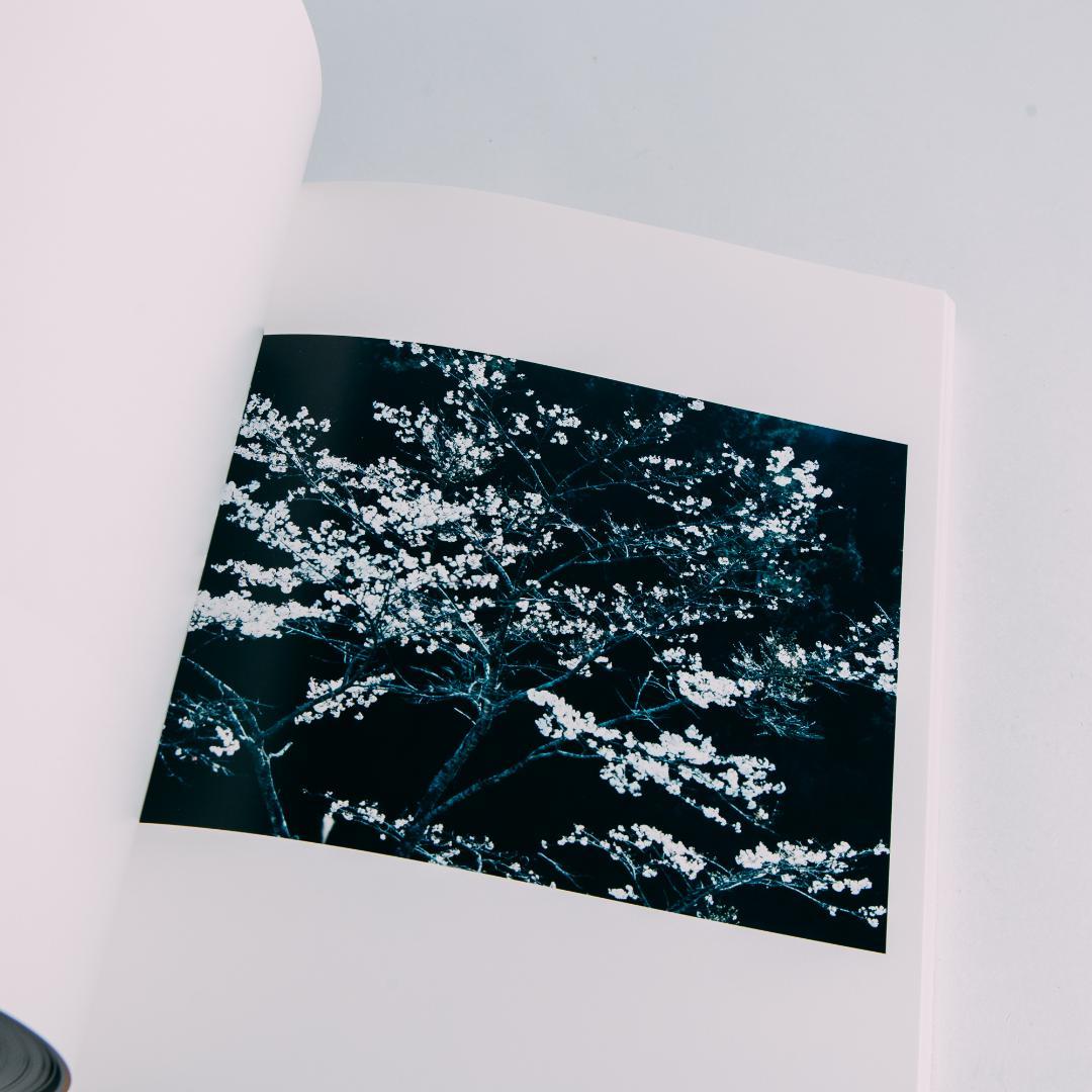 鈴木理策「Stream of consciousness」写真集