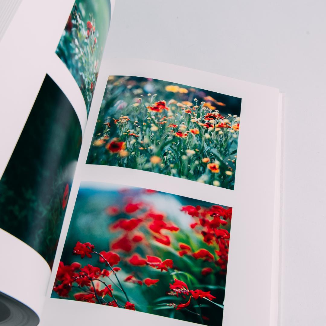 鈴木理策「Stream of consciousness」写真集