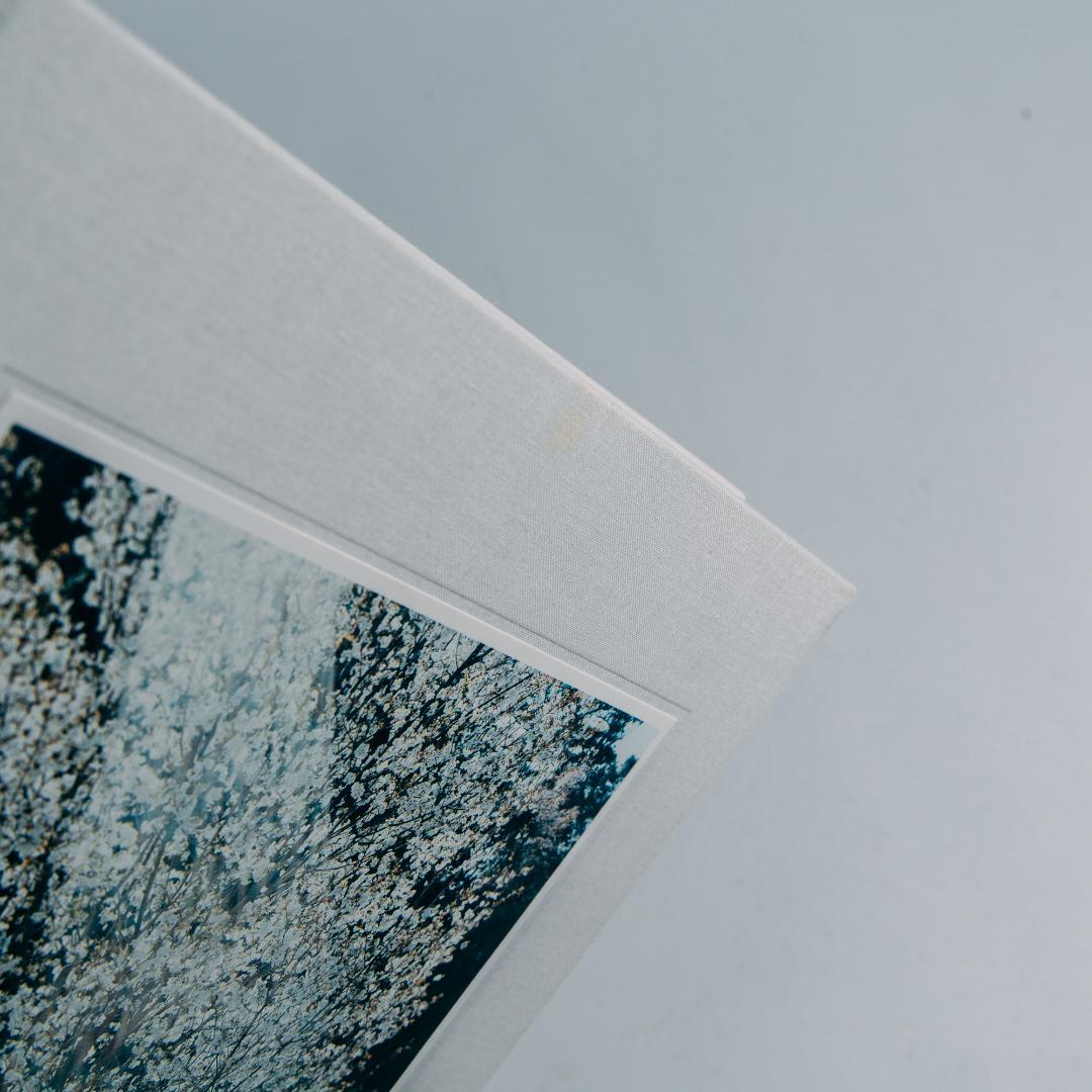 鈴木理策「Stream of consciousness」写真集