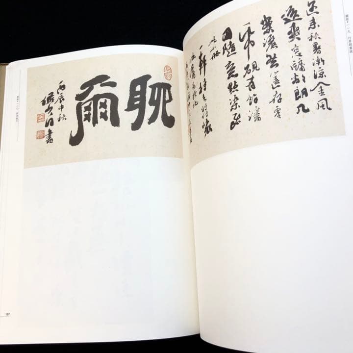 【中国書道】「陸儼少 - 海派代表書法家系列作品集」上海書画出版社