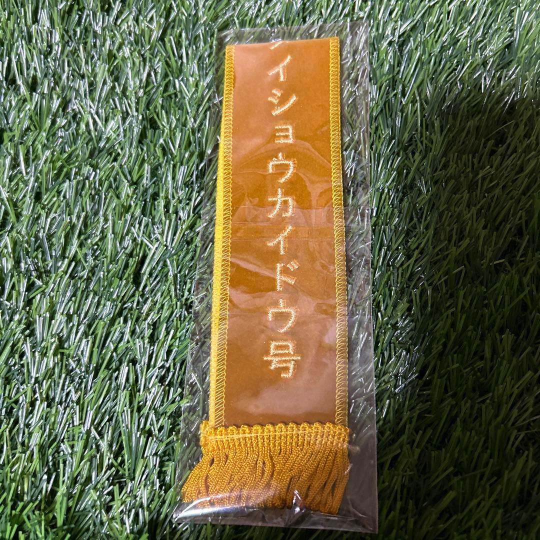 メイショウカイドウ　小倉記念　Sサイズ　競馬　ぬいぐるみ　（小倉三冠レイ付き）