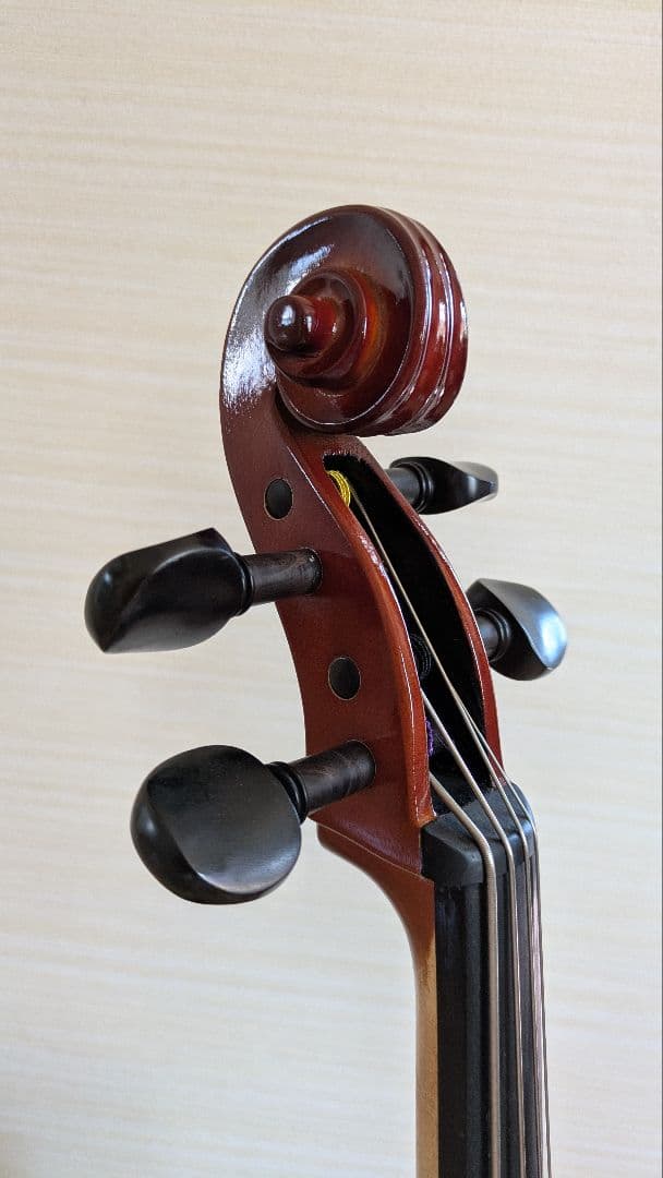 チェロ カルロジョルダーノ 1/8　ソフトケース付き