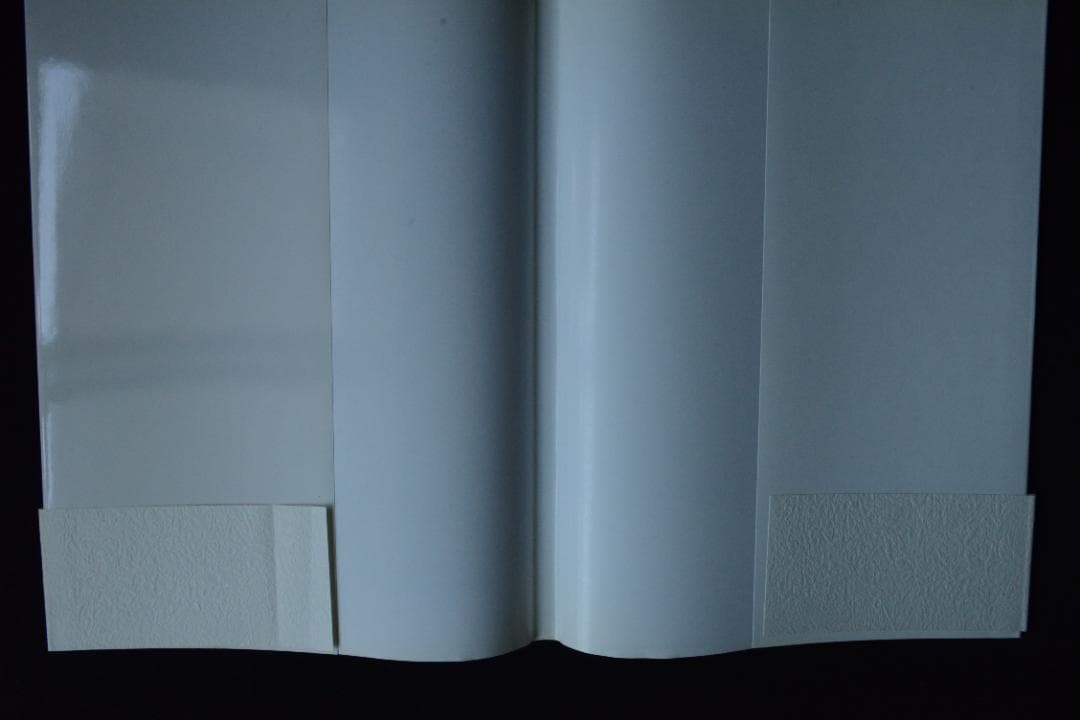 【王たちの肖像－浅草寺堺内】鬼海弘雄　帯付　★★大幅に値下げしました