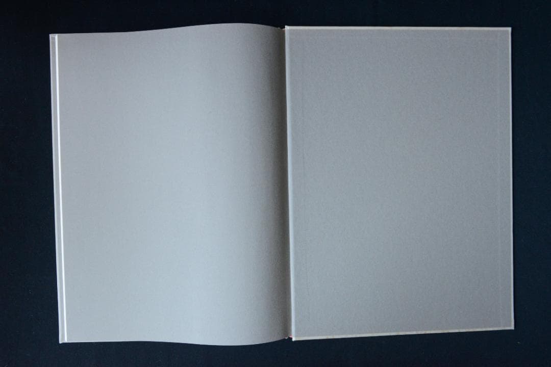 【王たちの肖像－浅草寺堺内】鬼海弘雄　帯付　★★大幅に値下げしました