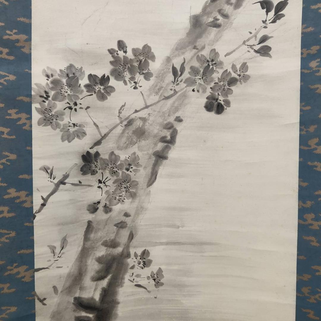 真作/巣雲/夜桜画賛/山水/桐共箱付/布袋屋掛軸A-411