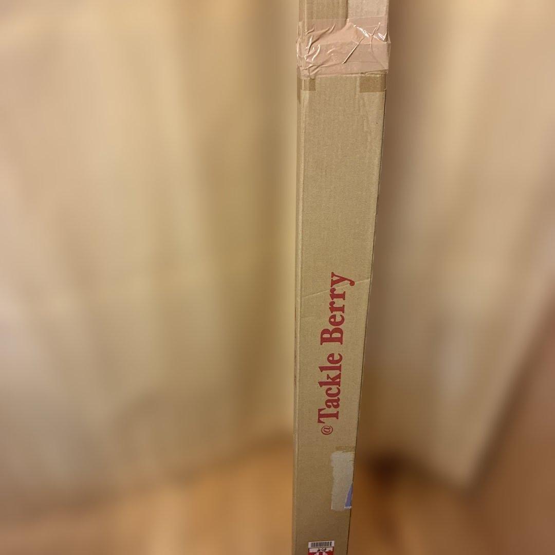 ダイワオーバーゼアAIR-97M ロッド