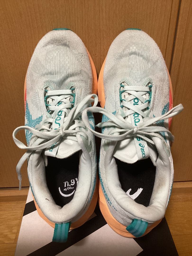 asics アシックス ノヴァブラスト5 メンズ 26.0cm US8