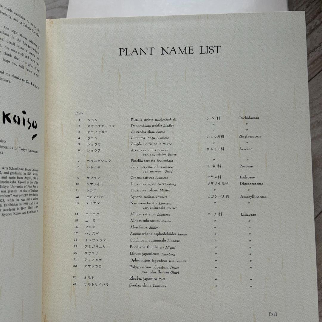 初版！判子＆カバーあり！薬用植物画譜 /小磯良平 刈米達夫 静物画