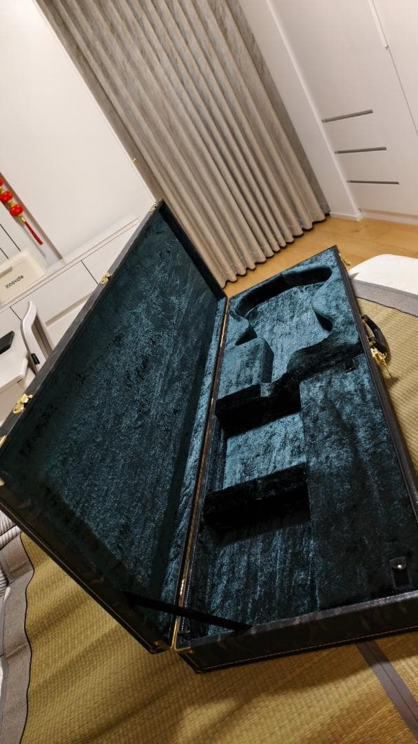 ベース FREEDOM CUSTOM GUITAR RESEARCH dulake5st