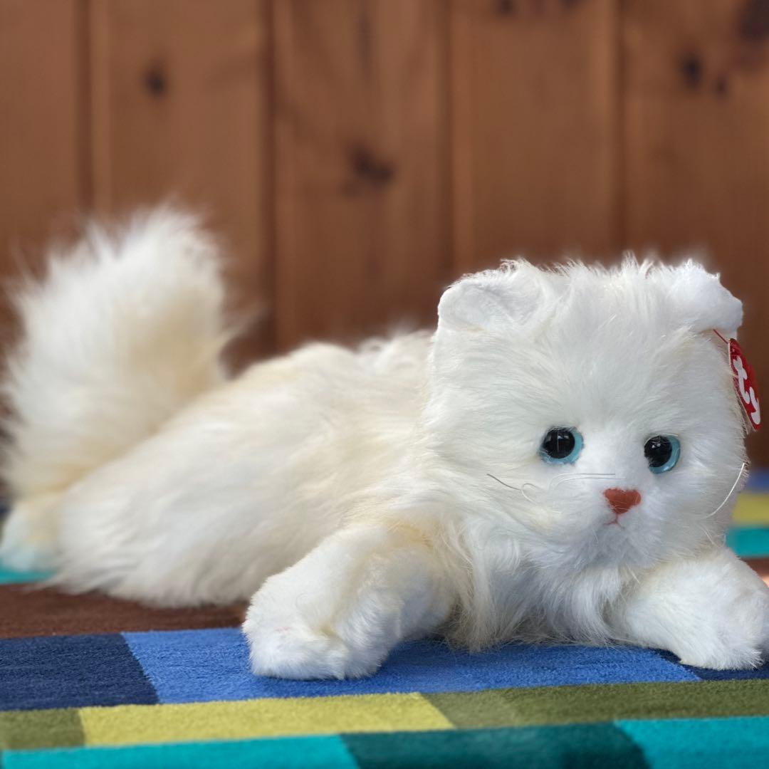 【入手困難】tyビーニーベイビーズ　ペルシャネコぬいぐるみ